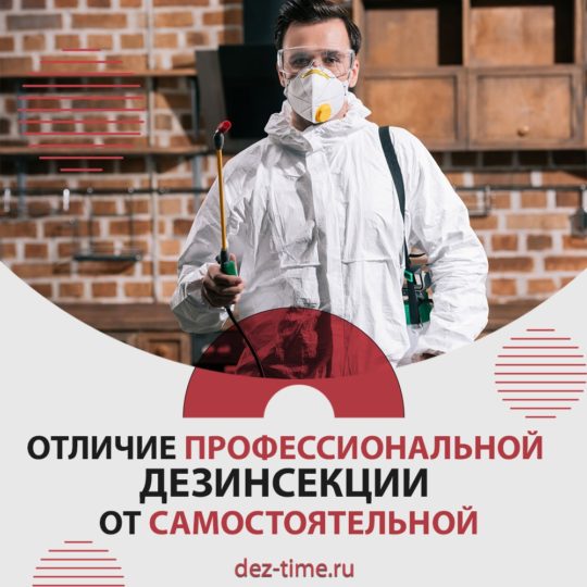 Отличие профессиональной дезинсекции от самостоятельной