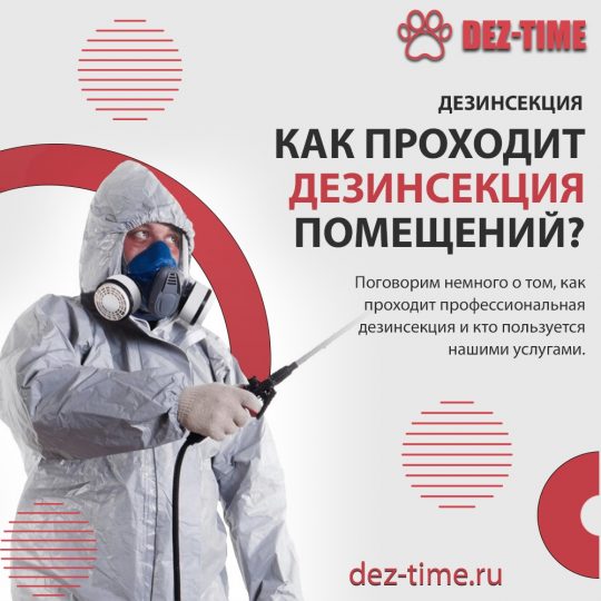 Как проходит дезинсекция помещений?