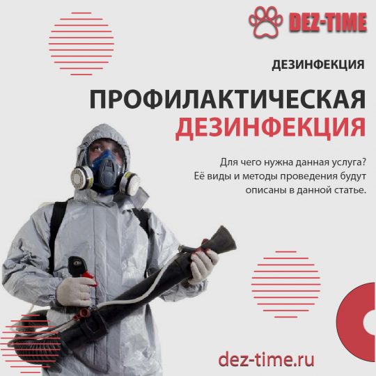 Профилактическая дезинфекция