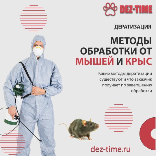 Методы обработки от мышей и крыс