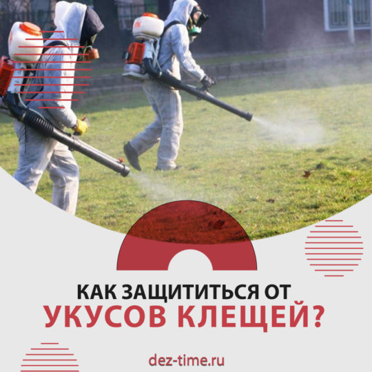 Как защититься от укусов клещей?