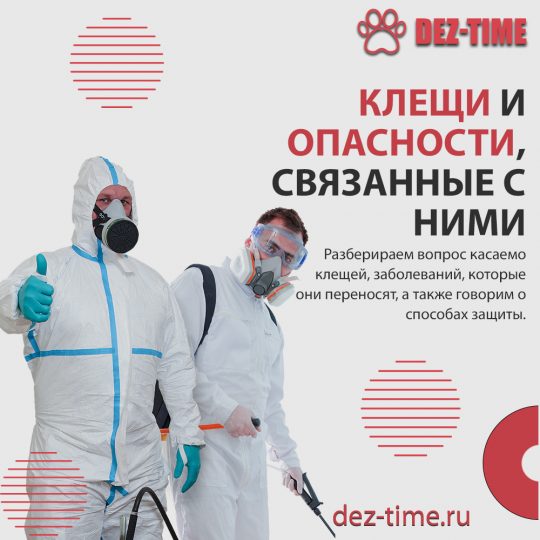 Клещи и опасности, связанные с ними