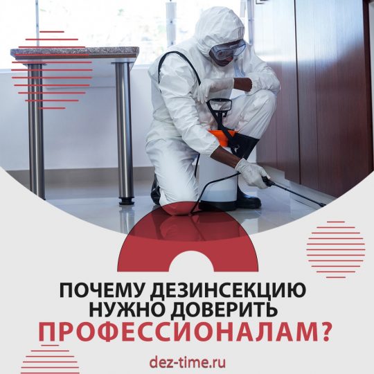 Почему дезинсекцию нужно доверить профессионалам?