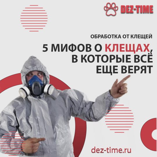 5 мифов о клещах, в которые всё еще верят