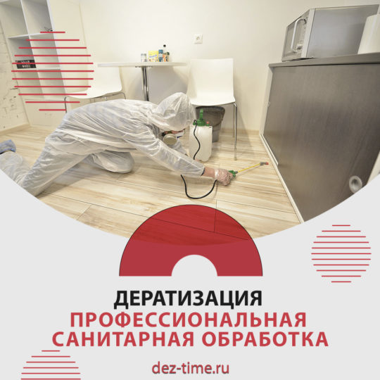 Дератизация. Профессиональная санитарная обработка