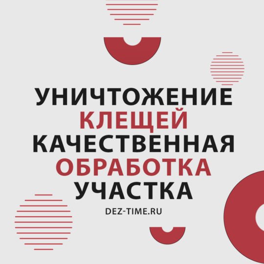 Уничтожение клещей. Качественная обработка участка