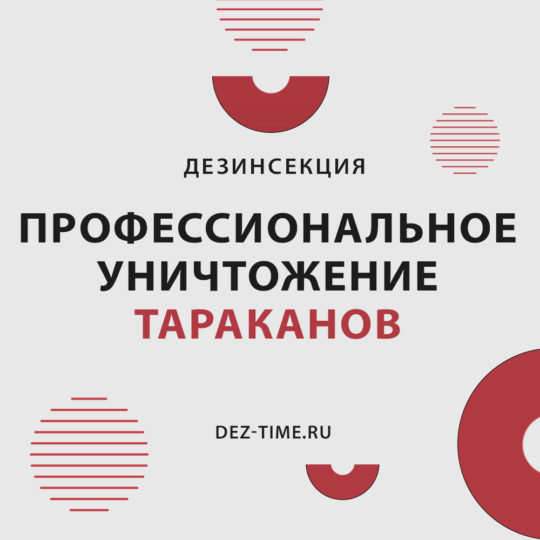 Профессиональное уничтожение тараканов