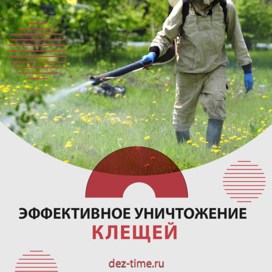 Эффективное уничтожение клещей