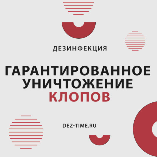 Гарантированное уничтожение клопов