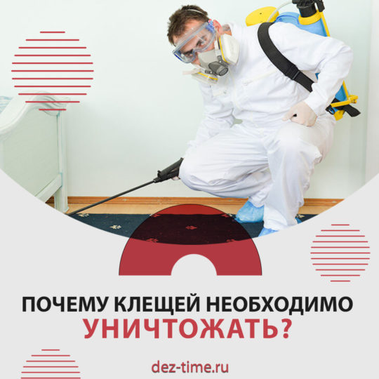 Почему клещей необходимо уничтожать?