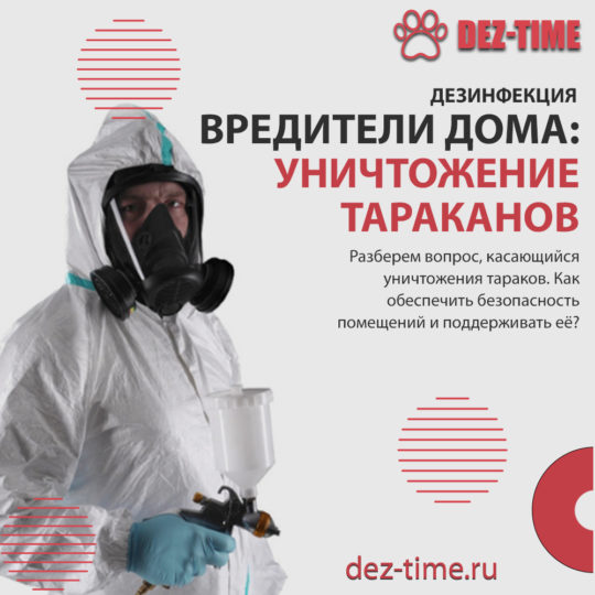 Вредители дома: уничтожение тараканов