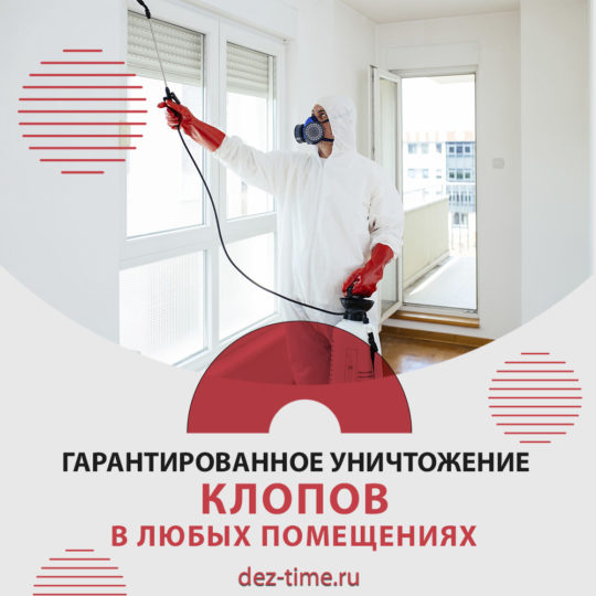 Гарантированное уничтожение клопов в любых помещениях
