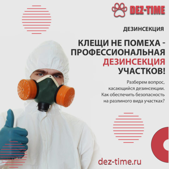Клещи не помеха – профессиональная дезинсекция участков!