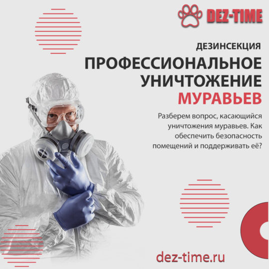 Профессиональное уничтожение муравьев
