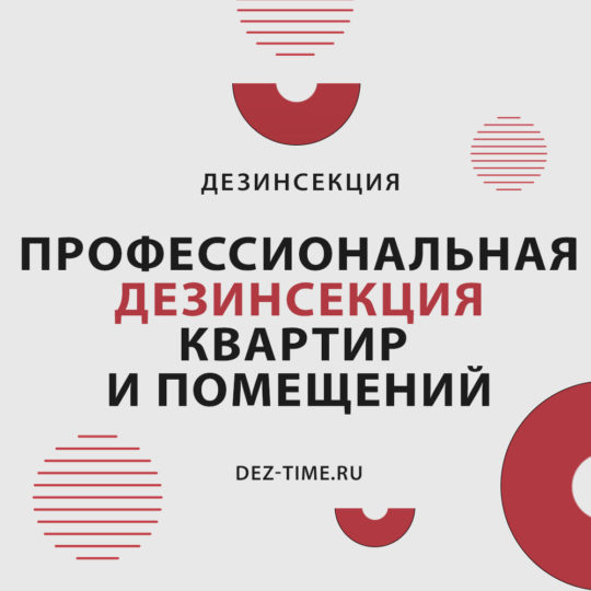 Профессиональная дезинсекция квартир и помещений