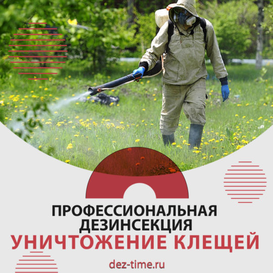 Профессиональная дезинсекция. Уничтожение клещей
