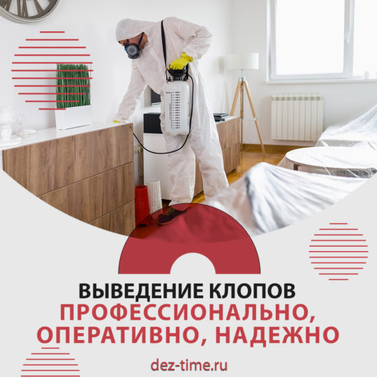 Выведение клопов. Профессионально, оперативно, надежно