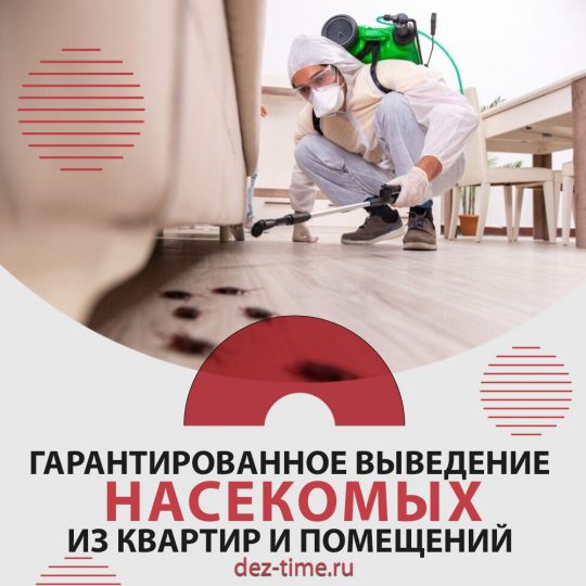 Гарантированное выведение насекомых из квартир и помещений