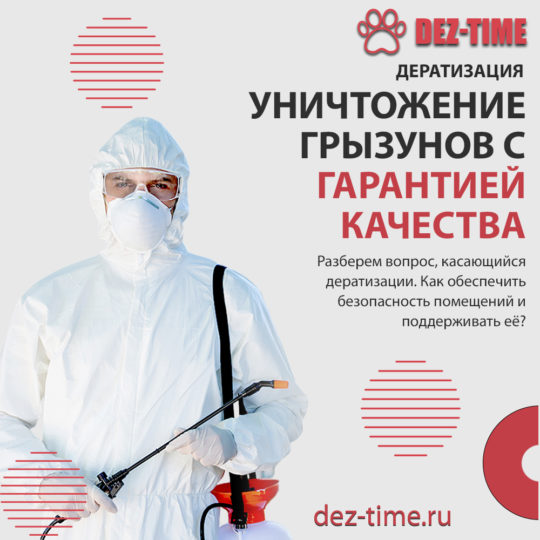 Уничтожение грызунов с гарантией качества