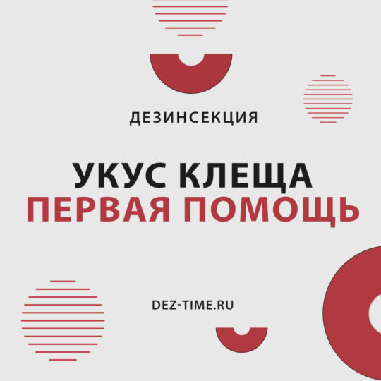 Укус клеща, первая помощь