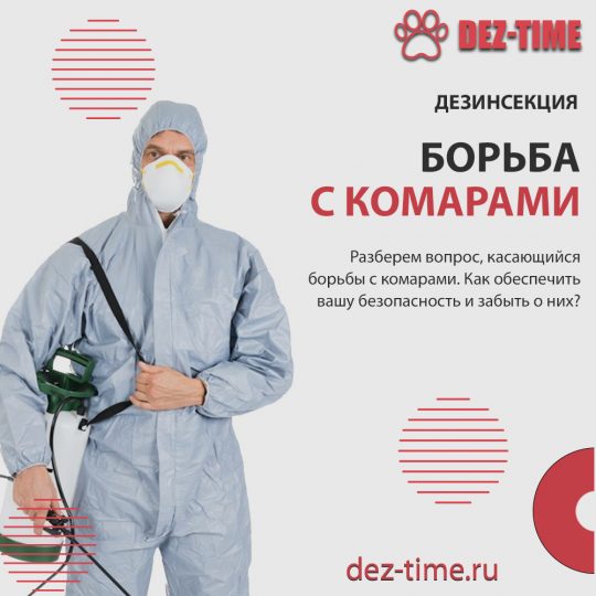 Борьба с комарами при помощи специалистов