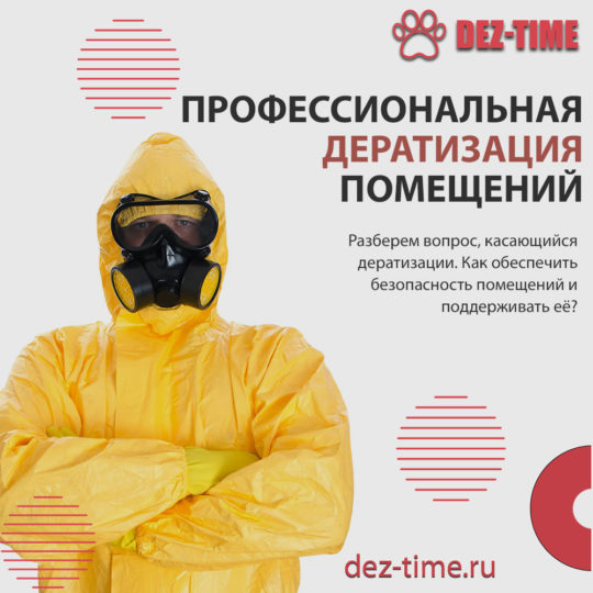 Профессиональная дератизация помещений