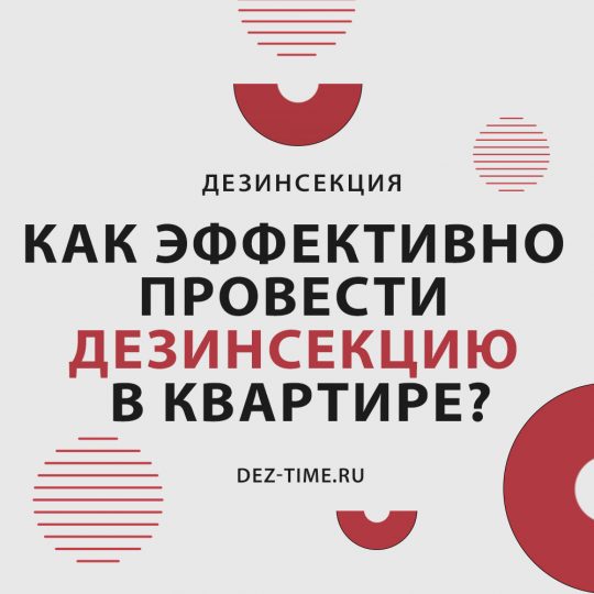 Как эффективно провести дезинсекцию в квартире?