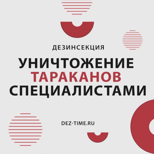 Уничтожение тараканов специалистами