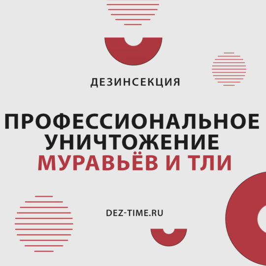 Профессиональное уничтожение муравьёв и тли