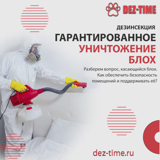 Гарантированное уничтожение блох