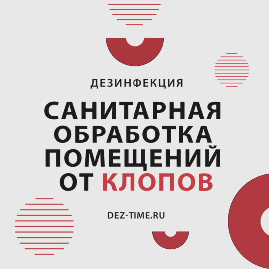 Санитарная обработка помещений от клопов