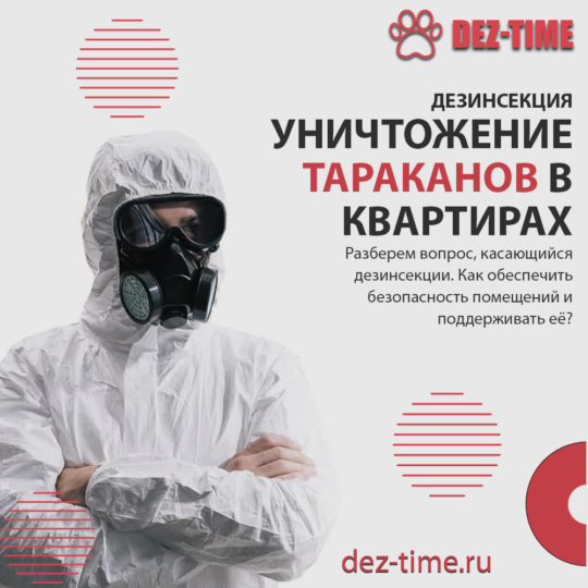 Уничтожение тараканов в квартирах