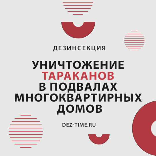 Уничтожение тараканов в подвалах многоквартирных домов