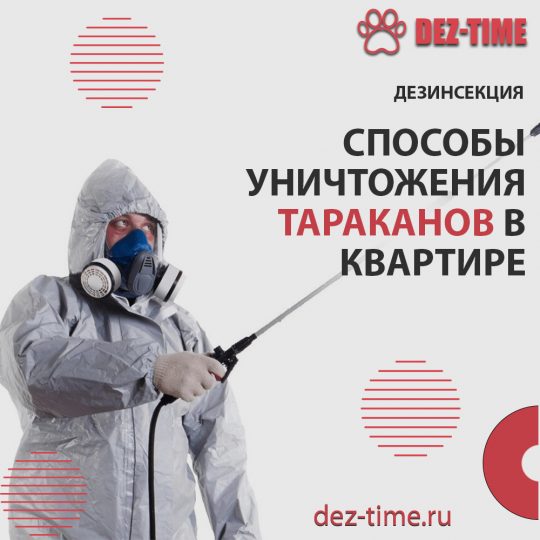 Способы уничтожения тараканов в квартире