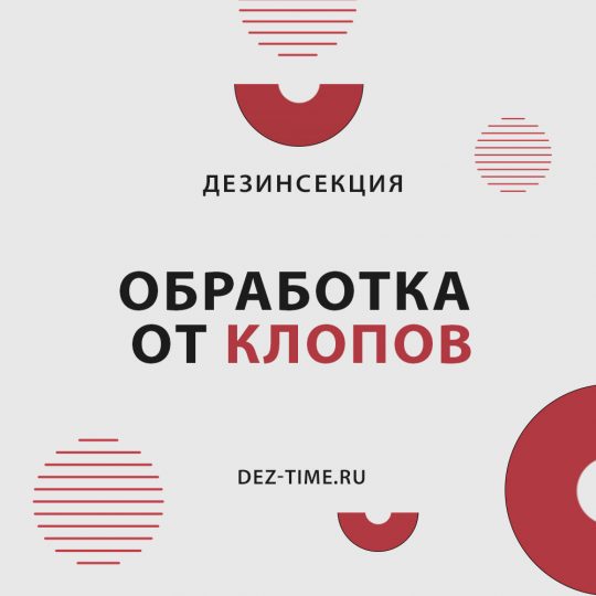 Обработка от клопов