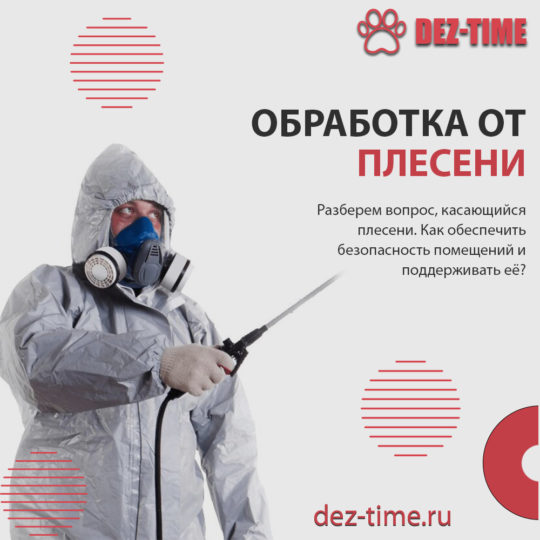 Обработка от плесени