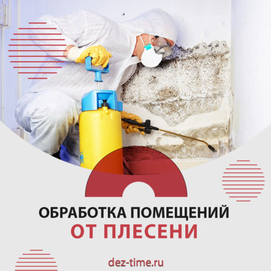 Обработка помещений от плесени