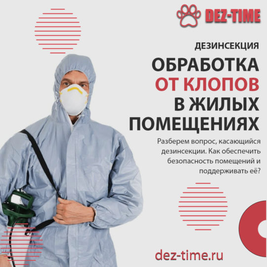 Обработка от клопов в жилых помещениях