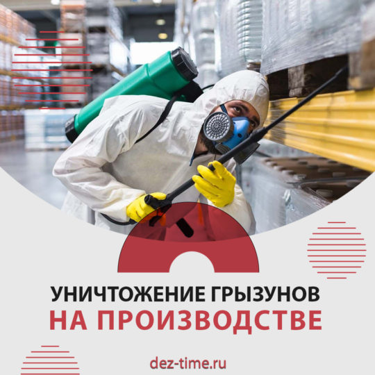 Уничтожение грызунов на производстве