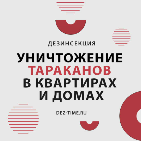 Уничтожение тараканов в квартирах и домах