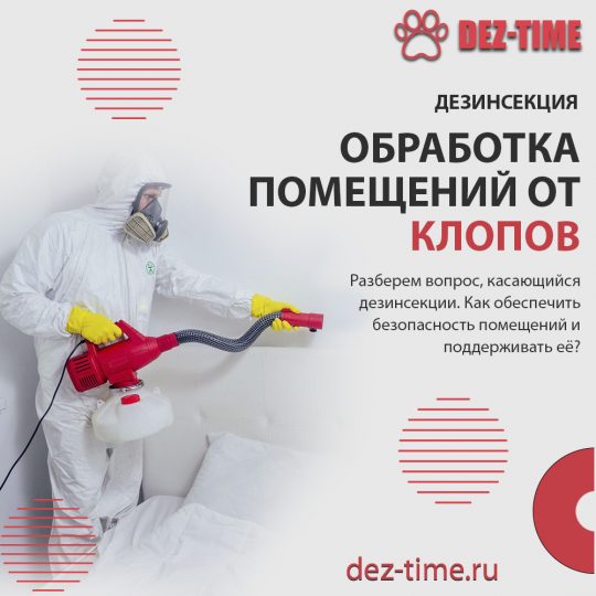 Обработка помещений от клопов