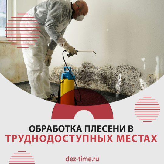 Обработка плесени в труднодоступных местах