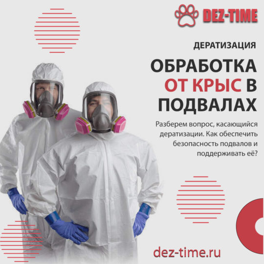 Обработка от крыс в подвалах