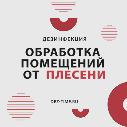 Обработка помещений от плесени