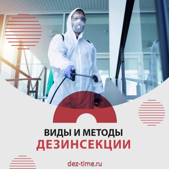 Виды и методы дезинсекции