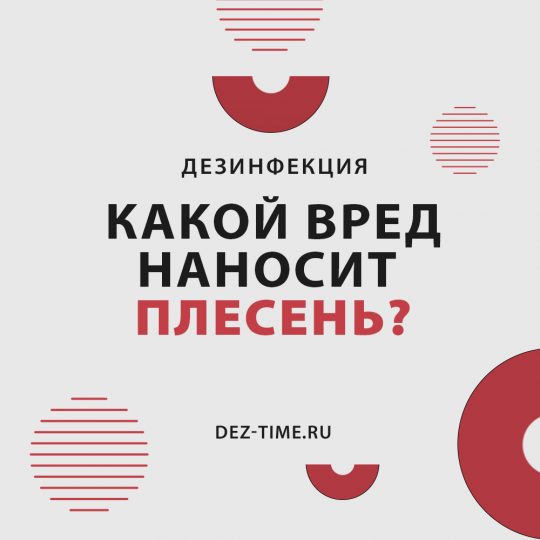 Какой вред наносит плесень?
