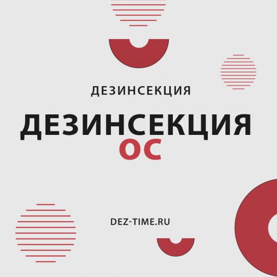 Дезинсекция ос!