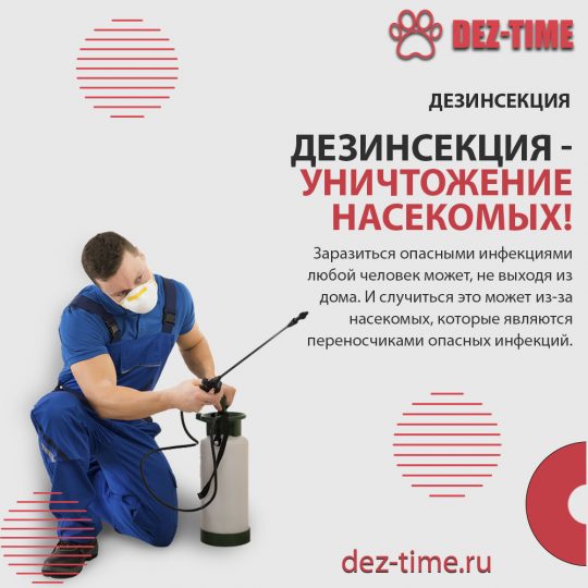 Дезинсекция – уничтожение насекомых!