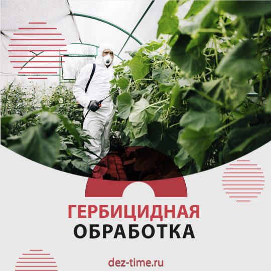 Гербицидная обработка!