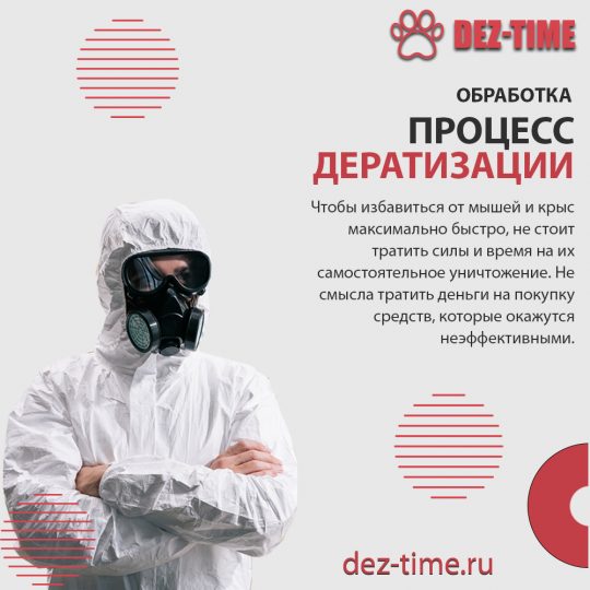 Процесс дератизации!